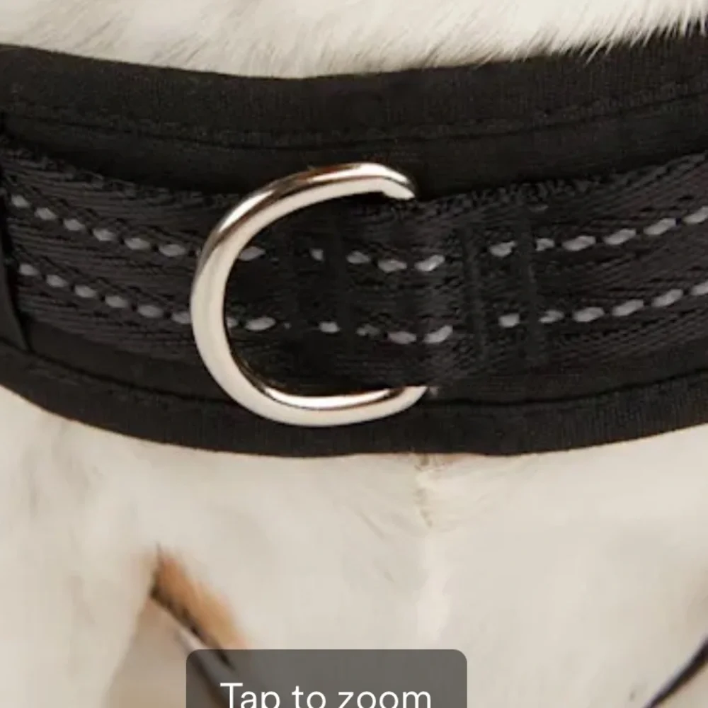 NWT easy on training harness XS